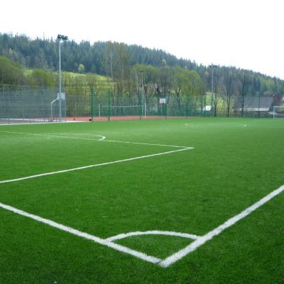 Lipnica Maa